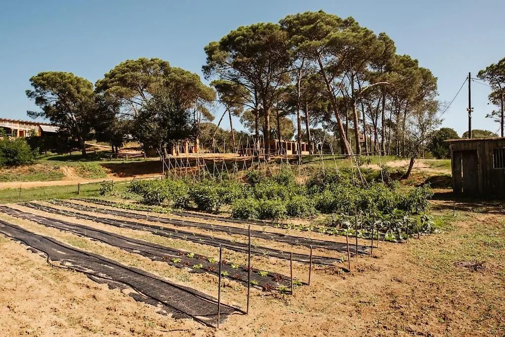 La Vina. Casa Rural En El Campo Tordera İspanya